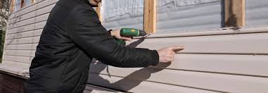 Professional Siding in Stony Point, MI